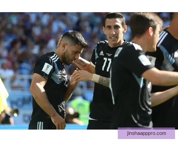 2026年世界杯参赛国家全解析及各国备战情况详细汇总