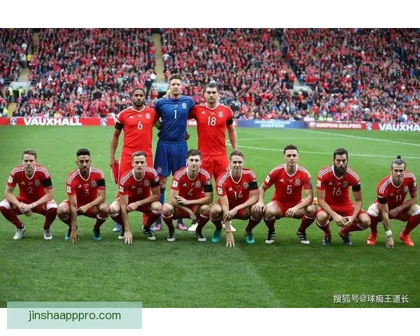 世界杯竞猜赔率全解析：热门球队胜率与冷门潜力全面预测