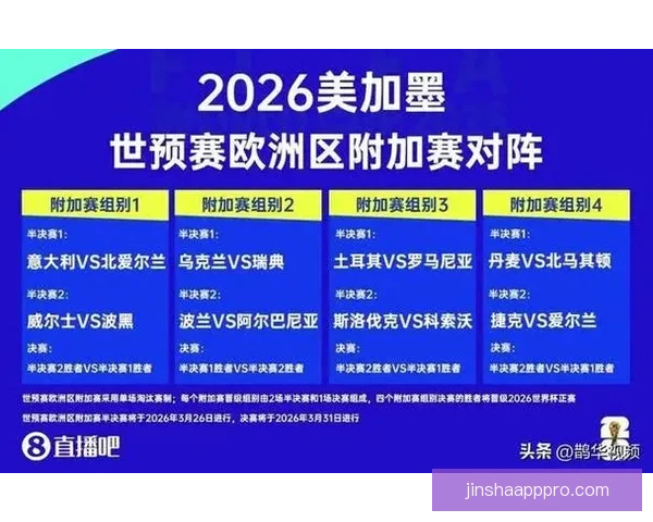 2026年世界杯参赛国家全解析及各国备战情况详细汇总